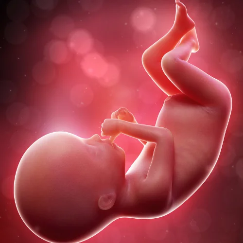 Imagem conceitual de bebê totalmente formado flutuando dentro do útero